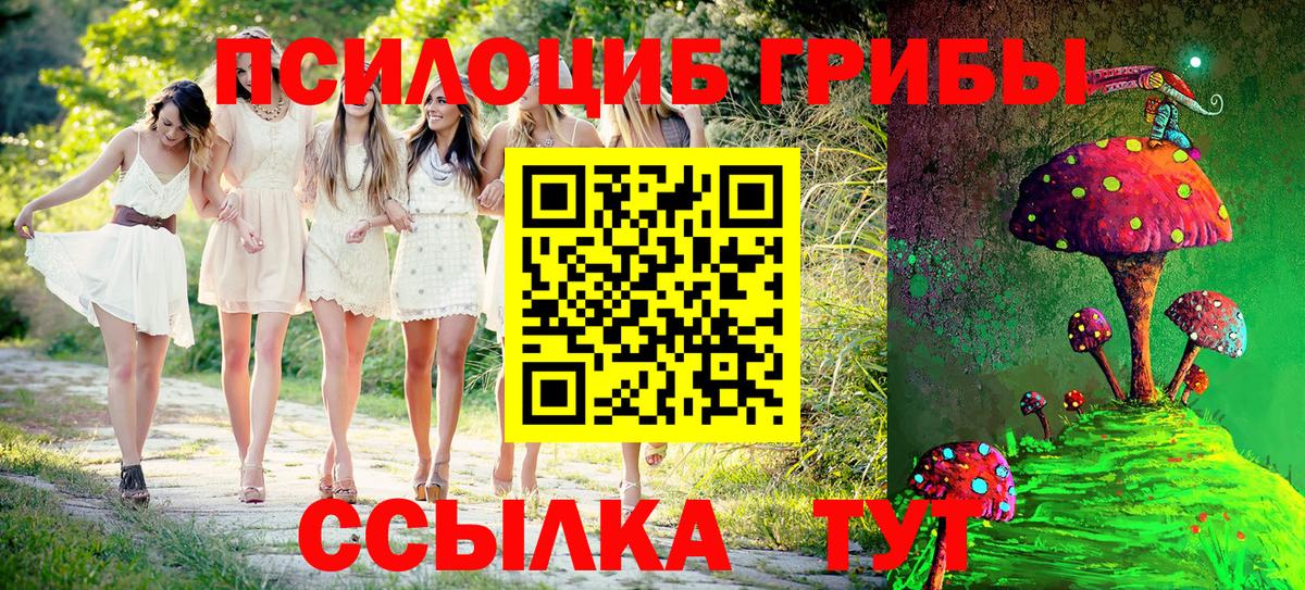Псилоцибиновые грибы MAGIC MUSHROOMS Топки